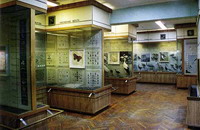 Музей заповедника